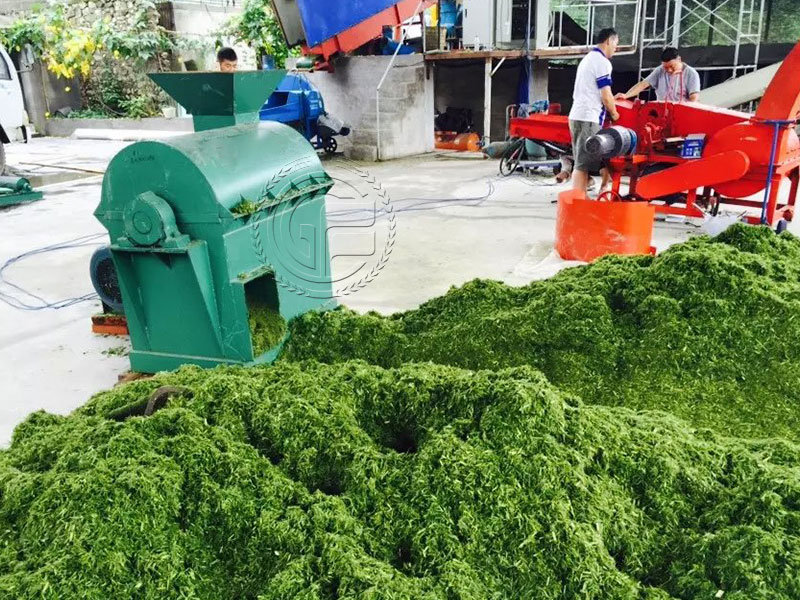 High-efficiency semi-wet fertilizer raw material crusher